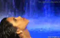 الكلبة البيضاء السميكة ركوب الرجل الأسود.