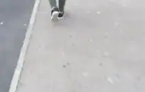 سخيف زوجتي مع صديقاتها بينما هي كومز.