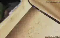 القذرة وقحة بيمبو