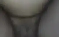 Cocksucking وقحة مص ديك لتذوق نائب الرئيس.