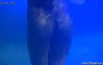 الساخنة في سن المراهقة وقحة ركوب الخيل ضخمة دسار اسلوب هزلي.