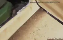 مص ديك أصدقائي بعد أصدقائه في المنزل.