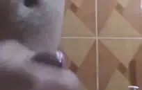 مثير فاتنة يحصل نائب الرئيس في الفم وجمل.