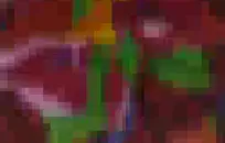 لعق كس لزوجين شابين.